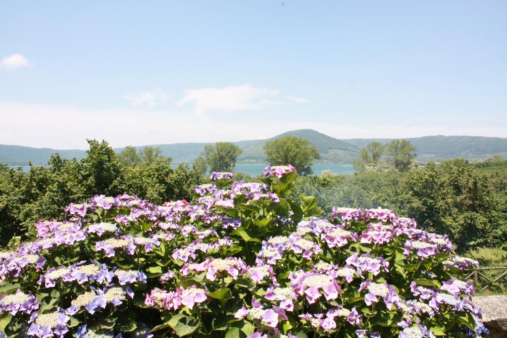 رونسيجليونى La Finestra Sul Lago المظهر الخارجي الصورة